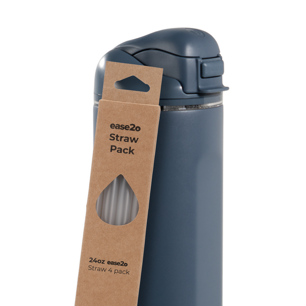 Ease2o Straws 4 Pack 24oz 5ec